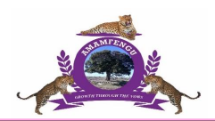 amamfengu logo
