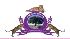 amamfengu_logo-removebg-preview